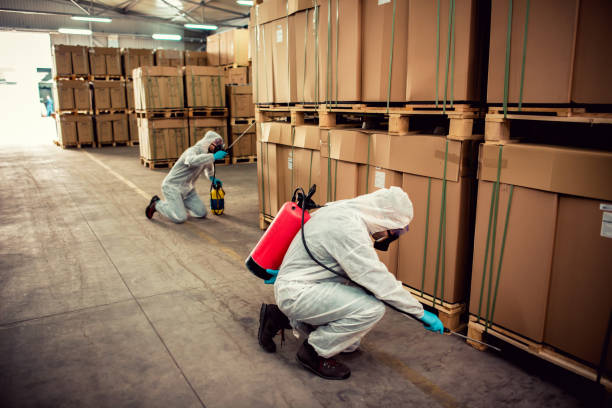 Best Local Pest Control Services  in Palm Desert, CA