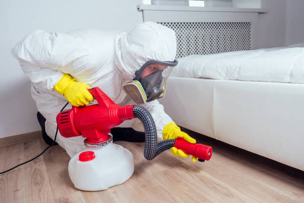 Pest Prevention Services in Palm Desert, CA
