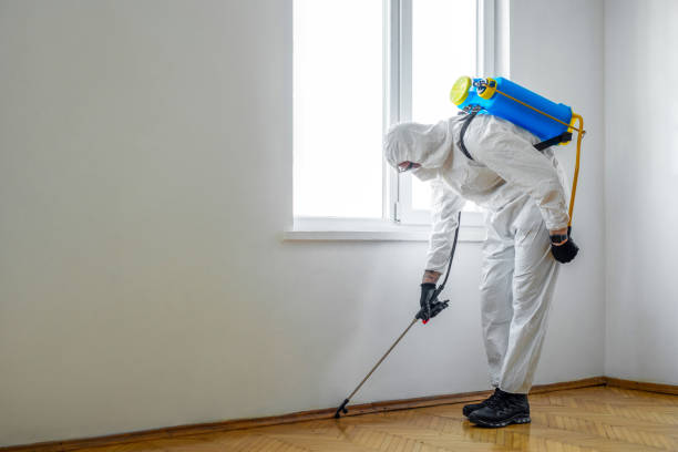 Best Bed Bug Extermination  in Palm Desert, CA