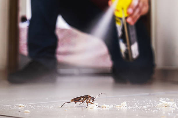 Pest Control Cost in Palm Desert, CA