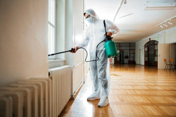 Best Residential Pest Control  in Palm Desert, CA