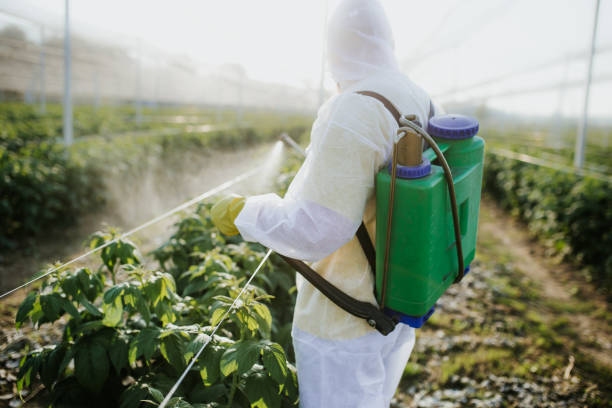 Best Pest Control Near Me  in Palm Desert, CA